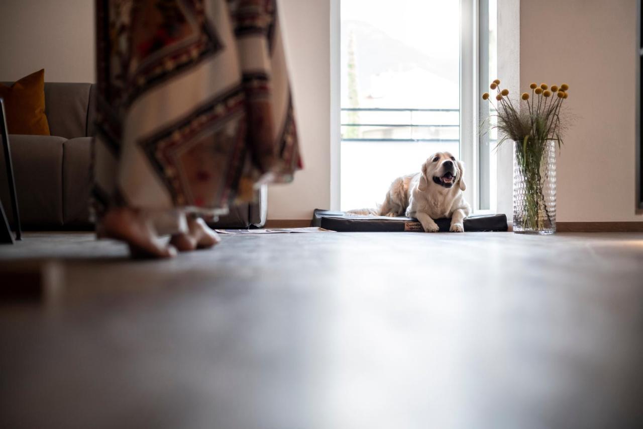 Sambucus Apartments -Premium Apartments For You And Your Dog Lana Luaran gambar