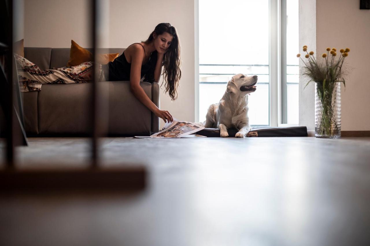 Sambucus Apartments -Premium Apartments For You And Your Dog Lana Luaran gambar